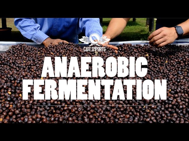 Anaerobic Fermentation