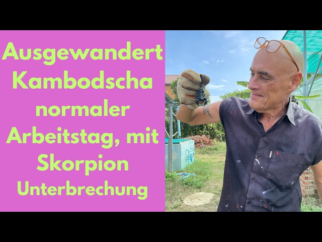 Ausgewandert nach Kambodscha, normaler Arbeitstag mit Unterbrechung wegen Skorpione