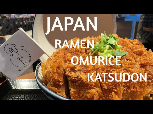 JAPAN - POPULAR! RAMEN, OMURICE, KATSUDON, EGG FRIED RICE – Awesome Japanese Restaurants