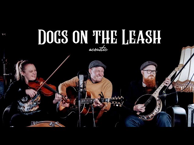 Dogs on the Leash (acoustic) - The O'Reillys and the Paddyhats
