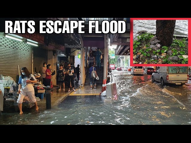 [4K] Walking in the Rain on Silom Road Bangkok | Flood in Thailand
