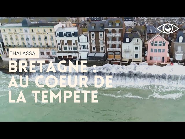 Vivre avec la tempête en Bretagne - Thalassa