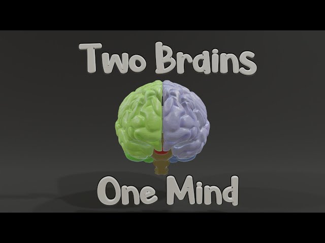 Why Do We Have Two Brains?