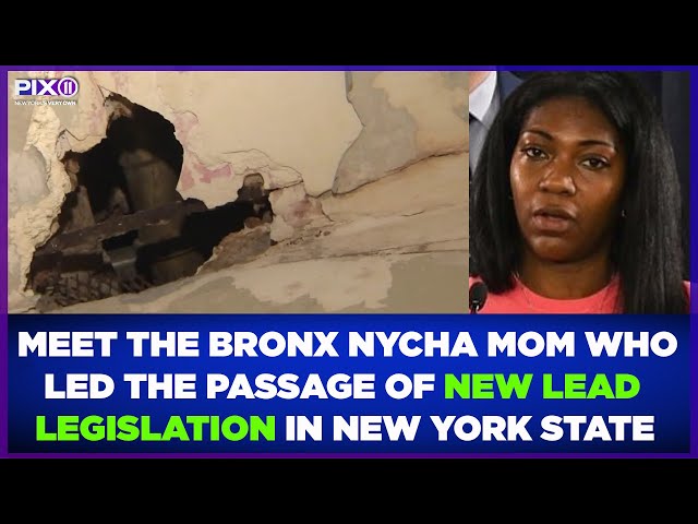 Meet the Bronx NYCHA mom who led the passage of new lead legislation in New York State