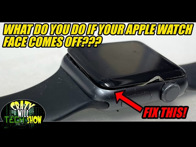 What do you do if your apple watch face comes off