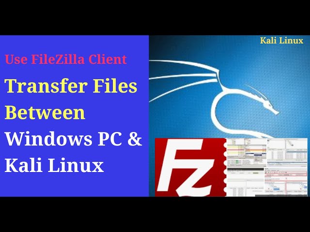 How to Transfer Files between Kali Linux and Windows PC using FileZilla