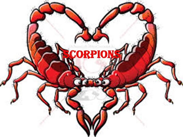 Scorpions in love