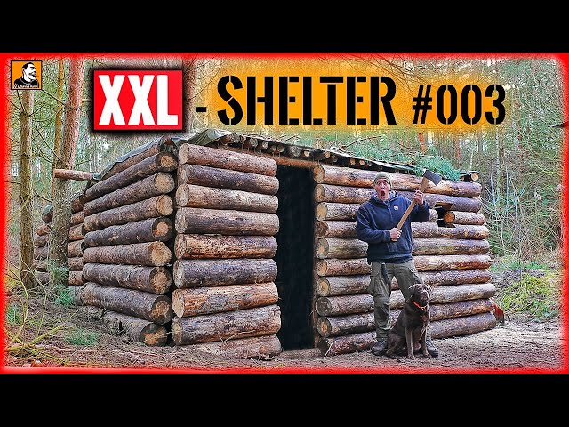 XXL SHELTER bauen #003 | FAST FERTIG | Tür & Fenster | Außenwände bauen | Survival Mattin