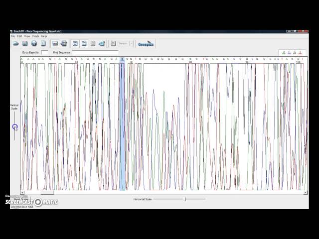 Sequence Analysis using Finch TV and BLAST