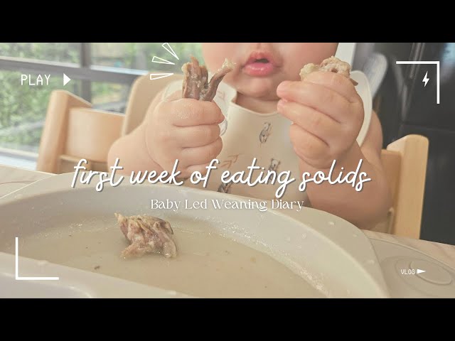 Baby led weaning menu for the 1st week | starting SOLIDS at 6 months old