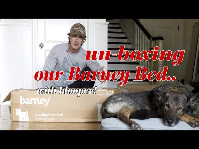 Un-Boxing my Barney Bed - My Favorite Dog Bed