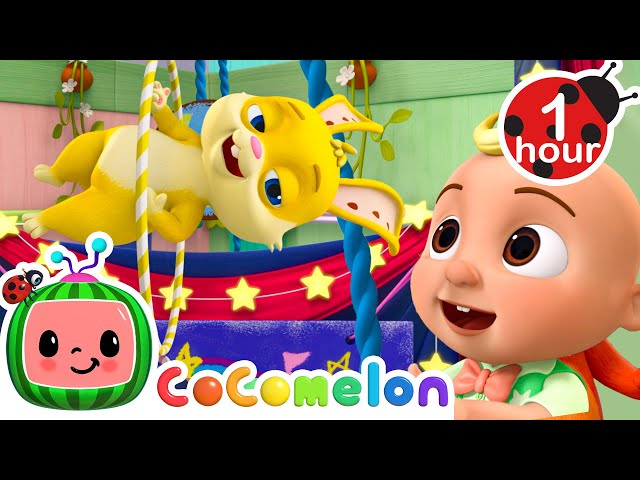 Bunny's Circus Tricks - Fantasy Animals | CoComelon - Animal Time | Nursery Rhymes for Babies