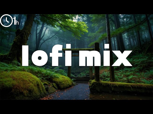 LOFI MIX|1HOUR|chill mix