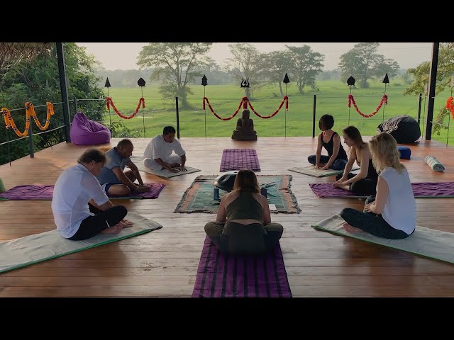 Insight Reisen: Yoga und Sitar in Sri Lanka