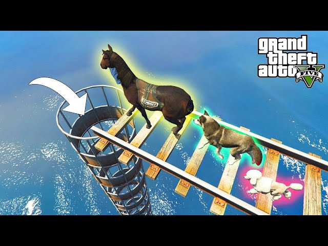 Gta 5 Parkour Dog & Animals Jumping Into Pipe