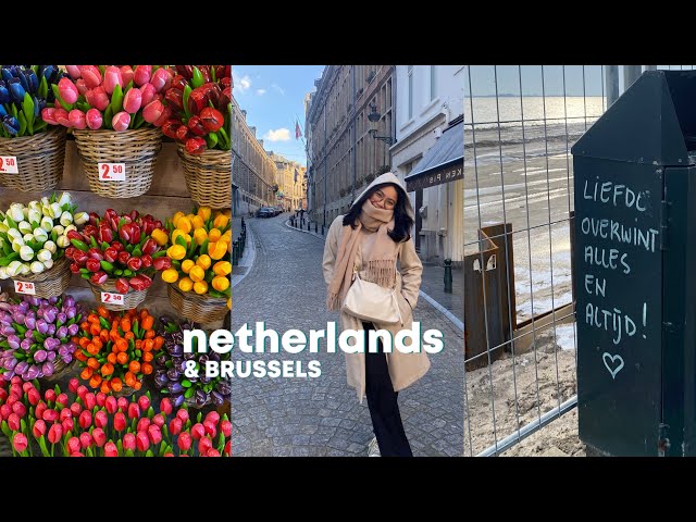 ♡ europe trip: brussels & netherlands ☆ (ep. 03, the end)