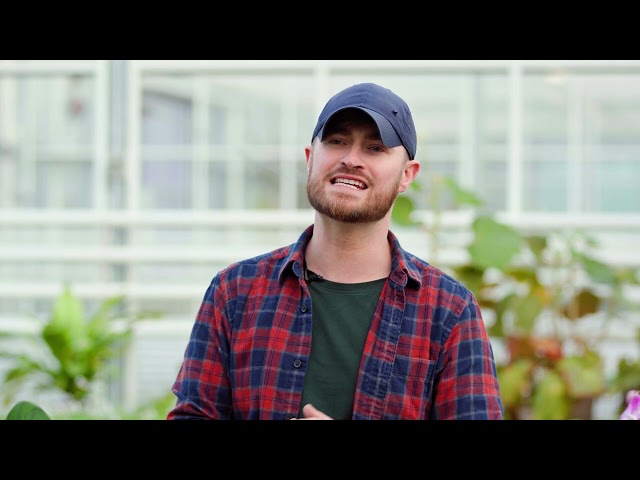 How can I tell if my houseplant's healthy? | Busting Houseplant Myths with Tony Le-Britton | The RHS