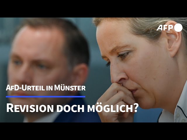 So könnte die AfD gegen das Urteil aus Münster vorgehen | AFP