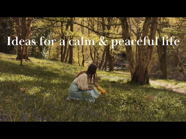 8 Ideas For a Slow & Peaceful life - Forest bathing, Foraging | Slow Living in English Countryside