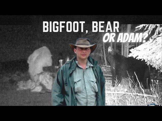 Bigfoot, Bear or Adam Davies w/Thom Cantrell