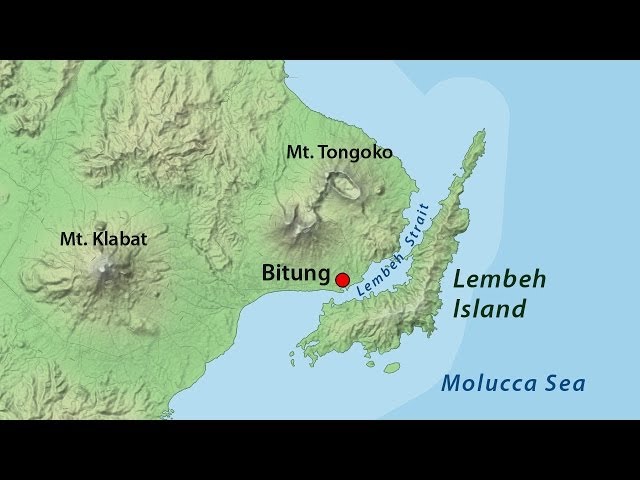 Mucky Secrets - Part 1 - Coral Triangle, Lembeh Strait & Sessile Animals