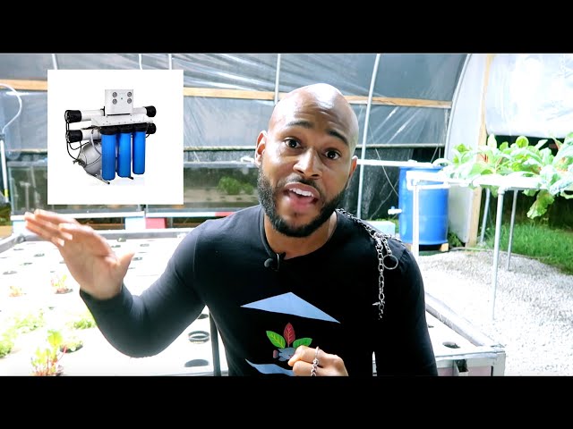 WHEN TO USE AN RO FILTER IN AQUAPONICS