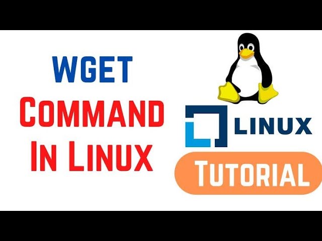 wget command - طريقة تحميل الملفات من الترمنال#linux #terminal