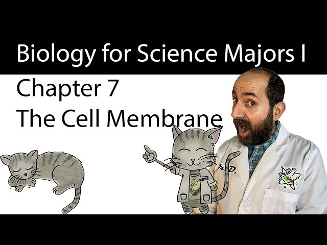 Chapter 7 – Membrane Structure and Function