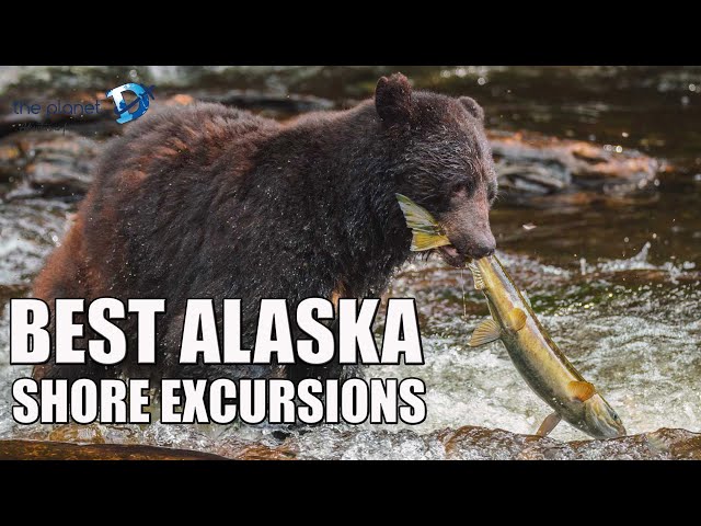 Best Alaska Cruise Excursions at Your Ports of Call in Alaska - The Planet D Alaska Vlog