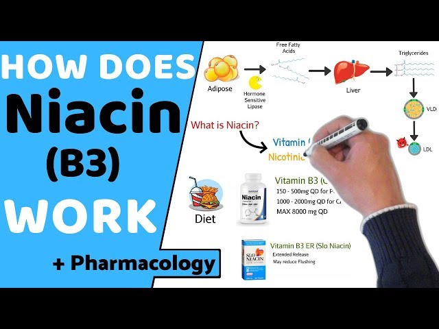 How does Niacin (B3) Work? (+ Pharmacology)