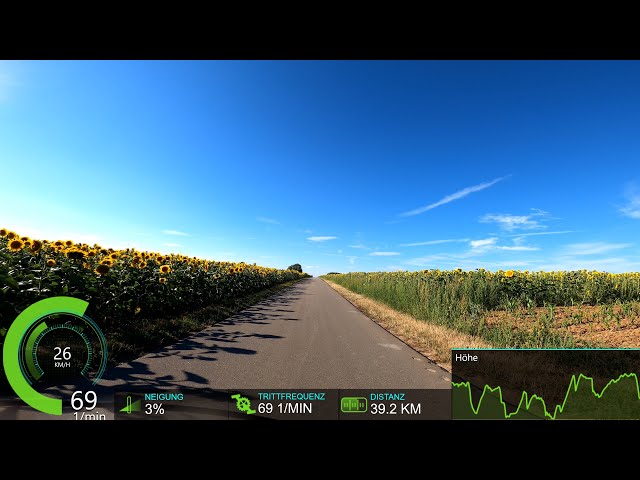 Ultimate Summer Indoor Cycling Workout 🌻🚵‍♀️🌞with Cadence & Speed Display Ultra HD