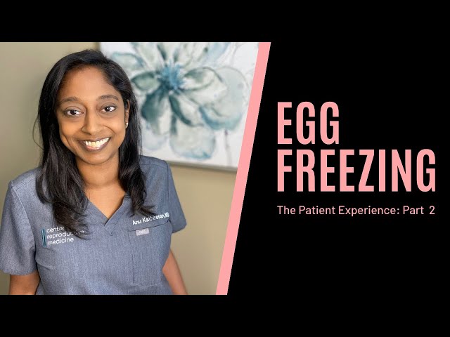 Egg Freezing The Patient Experience- Part 2
