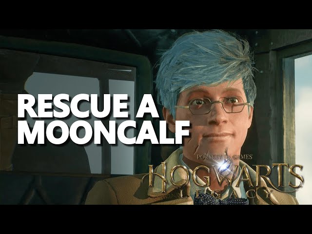 Rescue a Mooncalf Hogwarts Legacy