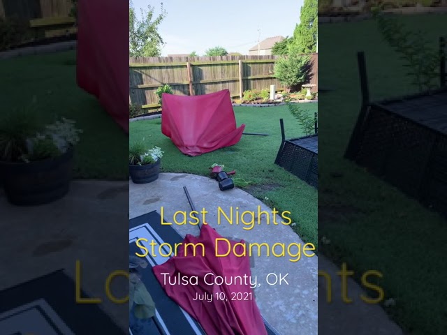 Last Night’s Storm Damage