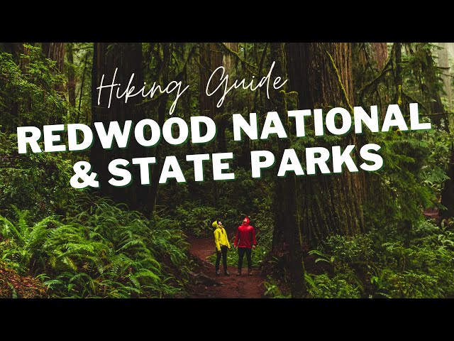 REDWOOD NATIONAL PARK HIKING GUIDE | ROAD TRIP UP NORTHERN CALIFORNIA