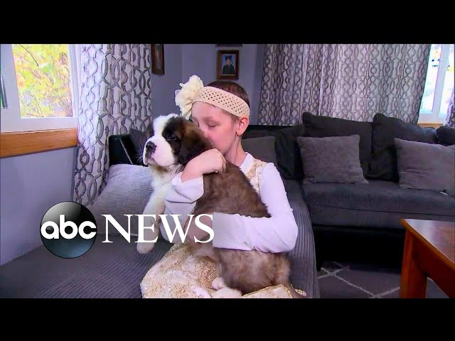 8-year-old girl's dream of getting a puppy comes true thanks to Make-A-Wish
