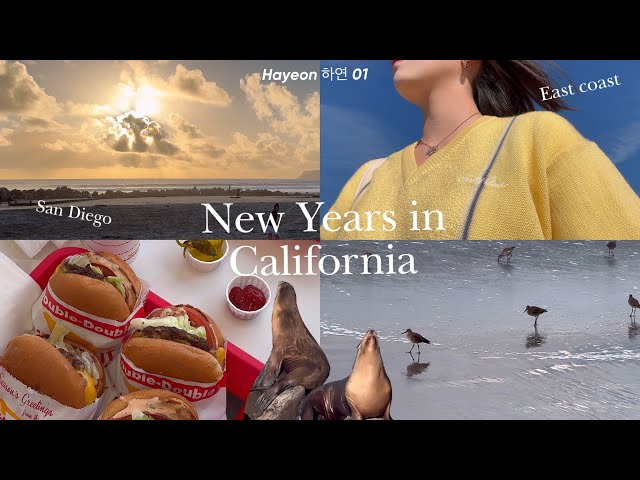 🇺🇸 🦭New Years in Cali | Nature is so beautiful | 런던의대생 브이로그