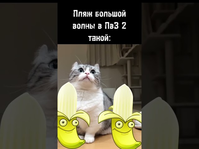 Бананчики, бананчики, бананчики... "звуки распада СССР" #пвз2 #subscribe #ютуб #дичь #мем