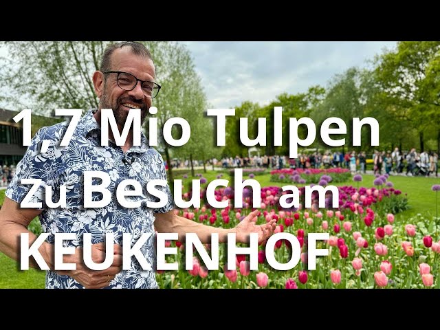 1,7 Millionen Tulpen: Zu Besuch am Keukenhof in Holland