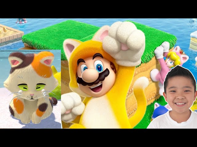 Super Mario Don't Like Cats  CKN Gaming