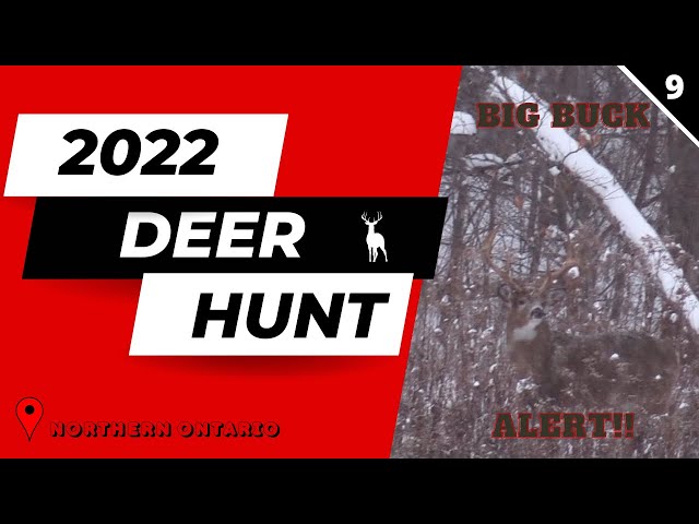 2022 Deer Hunt - A Buck of a Lifetime!!
