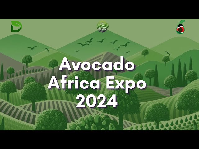 One Million Avøcados Presentation at Avocado Africa Expo 2024