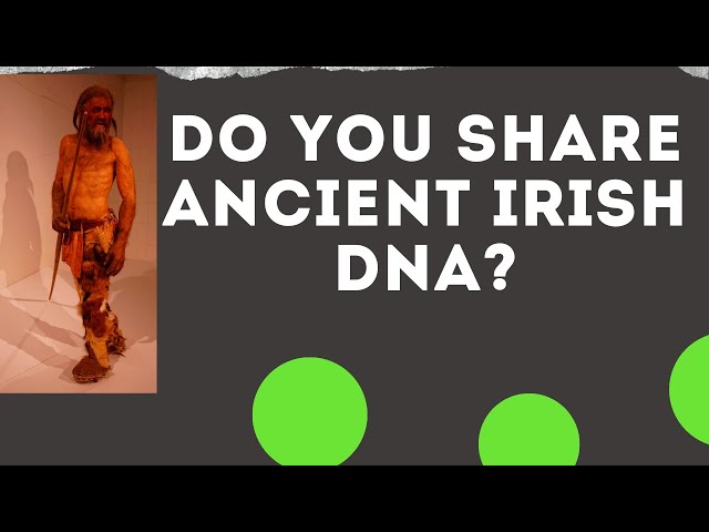 Compare Your DNA To Ancient Irish DNA Samples