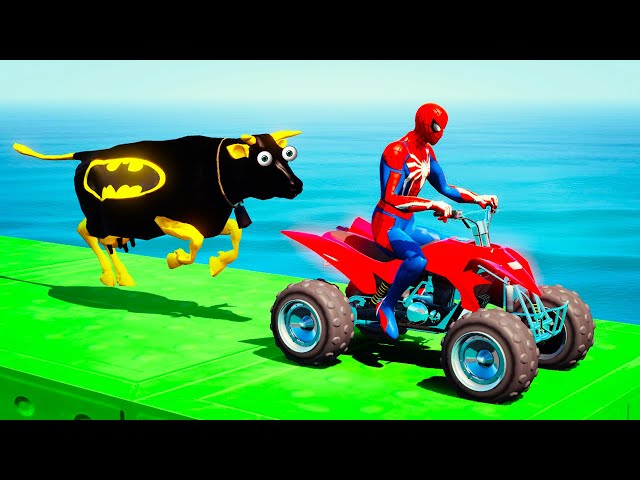 الرجل العنكبوت على مركبة النقل المؤتمتة مقابل البقرة المجنونة - Spiderman on ATV vs. Crazy Cow GTA 5