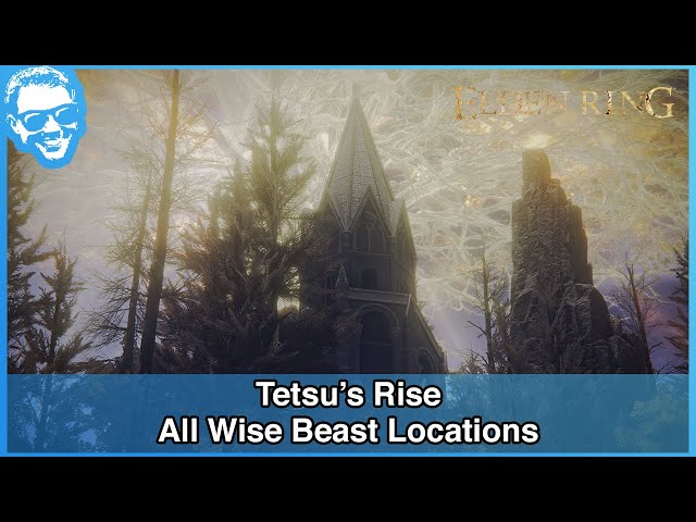 Tetsu's Rise Solution - All 3 Wise Beast Locations - Full Narrated Guide - Elden Ring [4k HDR]