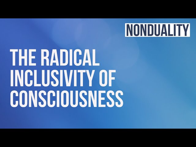 Nic Higham - The Radical Inclusivity of Consciousness | Non-duality