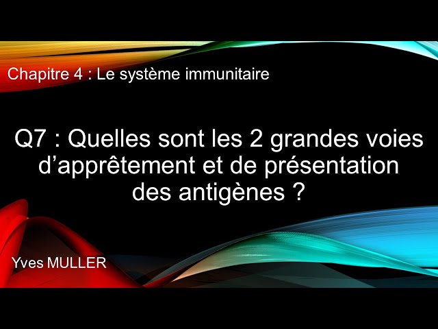 Chap 4 : Syst immunitaire - Q7 : Les 2 grandes voies d’apprêtement et de présentation des antigènes