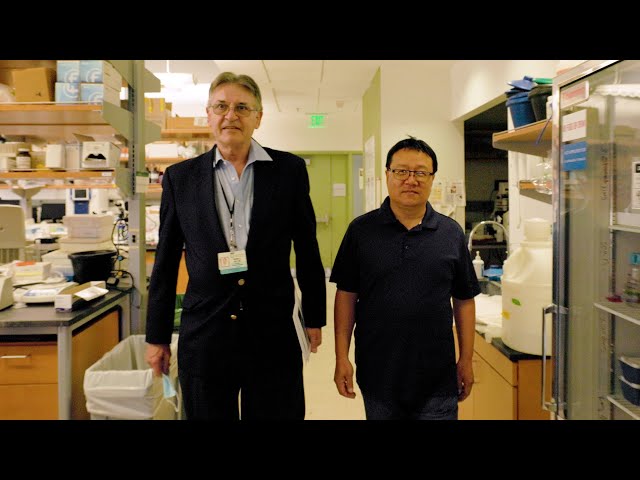 Noble Innovation Fund researchers create therapeutic liver therapy for peanut allergy & anaphylaxis