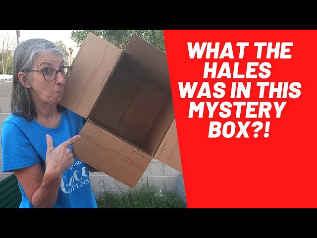 What the Hales Did I Just Buy?!  Mystery Box Opening