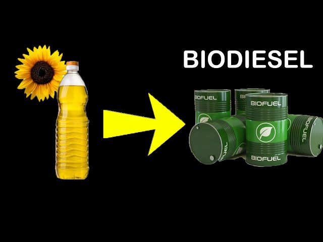 Making Biodiesel from Sunflower oil